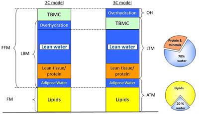 Estimation of Muscle Mass in the Integrated Assessment of Patients on Hemodialysis